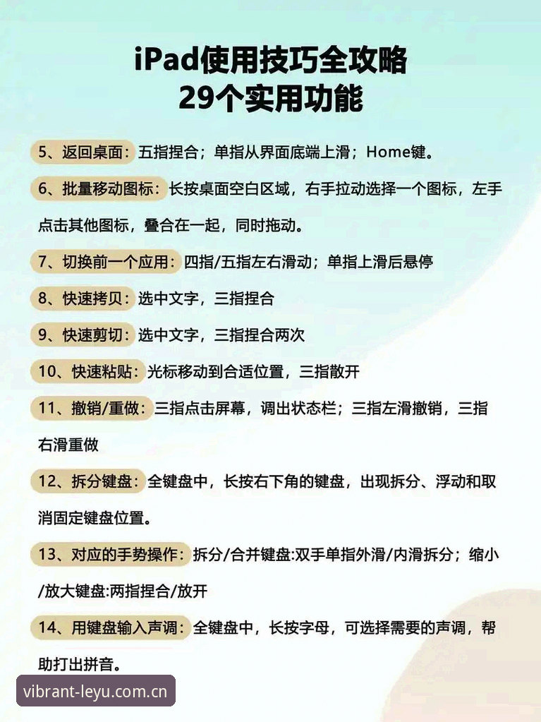 乐鱼体育平台数据面板使用教程：从下载到实时比分跟踪的操作指南